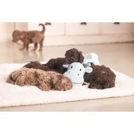 Beeztees Yavru Köpek Oyuncağı, Dragon, Peluş, Yeşil, 31,5X25X17Cm