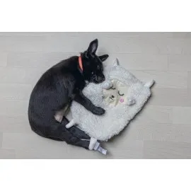 Beeztees Yavru Köpek Oyuncağı, Peluş, Beyaz, 40X22X5Cm