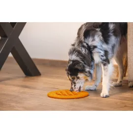 Beeztees Yavru Köpek Mama Yeme Oyuncağı, Daire Şeklinde, Silikon, Turuncu, 30Cm