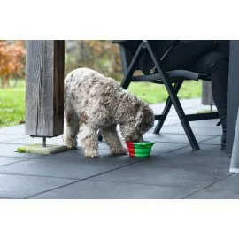 Beeztees Köpek Mama Ve Su Kabı, Teleskopik, Yeşil, Silikon, 15,5Cm, 750Ml