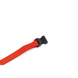 Beeztees Yavru Köpek Boyun Tasması, Çeşitli Renklerde, 22-35Cm, 10Mm