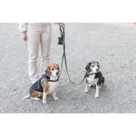 Beeztees Dbl Köpek Tasması, Kadife, Nefti, 35-50Cm, 20Mm