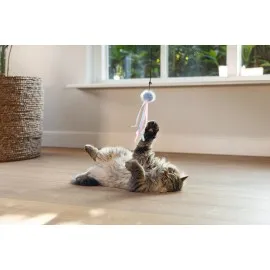 Beeztees Kedi Oltası, Zilli, Tüylü Top Ve Kurdelalar,