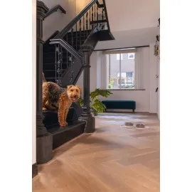 Beeztees Dbl Mama Su Kabı Servisi, Silikon, Kaymaz, Bej, 55X30X1,7Cm