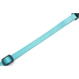 Beeztees Yavru Köpek Boyun Tasması, Çeşitli Renklerde, 17-25Cm, 10Mm