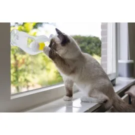 Beeztees Yavru Kedi Oyuncağı, Cama Tutturulabilir, 52X4X9Cm