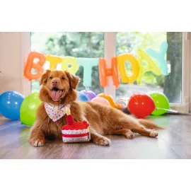 Beeztees Köpek Oyuncağı, Pasta Dilimi, Peluş, Renkli, 19X14X11Cm