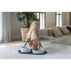 Beeztees Dbl Köpek Mama Su Kabı, Bambu, Bej, 21Cm, 1430Ml