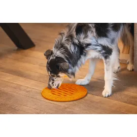 Beeztees Yavru Köpek Mama Yeme Oyuncağı, Daire Şeklinde, Silikon, Turuncu, 30Cm