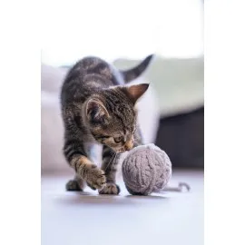 Beeztees Yavru Kedi Oyuncağı, Kuyruklu Yün Top, 6,5Cm, 35Cm Kuyruk