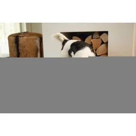 Beeztees Dbl Köpek Mama Su Kabı, Mat Gri Paslanmaz Çelik, 16Cm, 940Ml