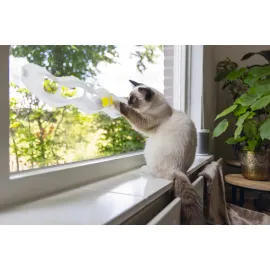 Beeztees Yavru Kedi Oyuncağı, Cama Tutturulabilir, 52x4x9cm