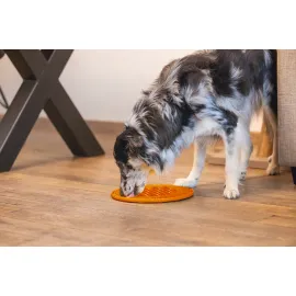 Beeztees Yavru Köpek Mama Yeme Oyuncağı, Daire Şeklinde, Silikon, Turuncu, 30Cm