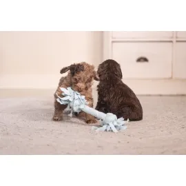 Beeztees Yavru Köpek Oyuncağı, Çift Düğümlü Diş İpi, Peluş, Mavi, 20X6X4,5Cm