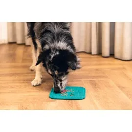 Beeztees Yavru Köpek Yaş Mama Yeme Oyuncağı, Kare Şeklinde, Silikon, Yeşil, 20X20Cm