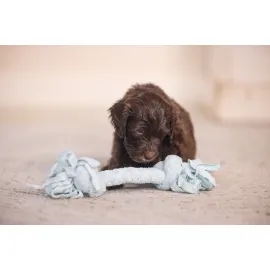 Beeztees Yavru Köpek Oyuncağı, Çift Düğümlü Diş İpi, Peluş, Mavi, 20X6X4,5Cm