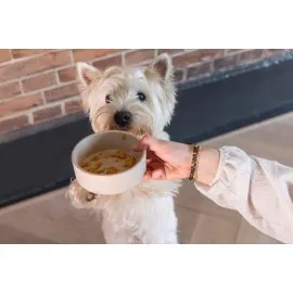 Beeztees Dbl Köpek Mama Su Kabı, Bambu, Bej, 12Cm, 300Ml