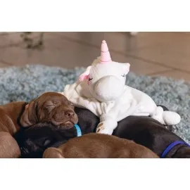 Beeztees Yavru Köpek Oyuncağı, Unicorn, Peluş, Beyaz, 33X25X14Cm