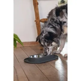 Beeztees Köpek İkili Mama Ve Su Kabı, Paslanmaz Çelik, 40X24Cm, 2X500Ml