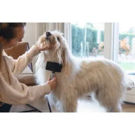 Beeztees Köpek Tarağı, Kolay Tarama, Sm, Siyah Gri, 18Cm, 18X10X2Cm