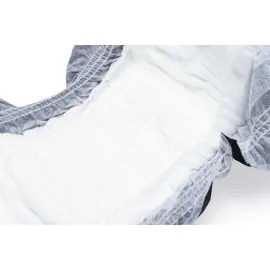 Beeztees Köpek Alt Bezi, Mükemmel Uyum, Kullan-At, Siyah, 10 Adet, L