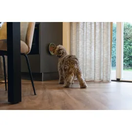 Beeztees Yavru Köpek Mama Yeme Oyuncağı, Silikon, Yeşil, 19Cm