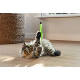 Beeztees Kedi Oltası, Zilli, Peluş Oyuncaklı, Çeşitli Renklerde,