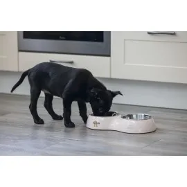 Beeztees Köpek İkili Mama Ve Su Kabı, Paslanmaz Çelik, Pudra Pembe, 34X17,5Cm, 2X350Ml