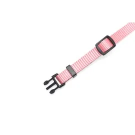Beeztees Yavru Köpek Boyun Tasması, Çeşitli Renklerde, 17-25Cm, 10Mm