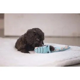 Beeztees Köpek Oyuncağı, Peluş, Turkuaz, 16X18X8,5Cm