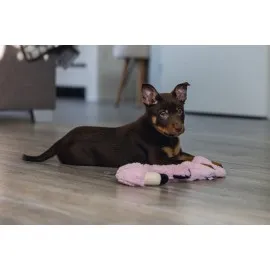 Beeztees Yavru Köpek Oyuncağı, Flamingo, Peluş, Pembe, 43X24X4Cm