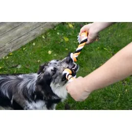 Beeztees Köpek Oyuncağı, Diş İpi, Dört Düğümlü, 40X5,5X4,55Cm, 140Gr