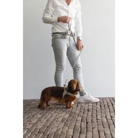 Beeztees Dbl Köpek Göğüs Tasması, Velur, Gri, S, 20Mm X 52Cm