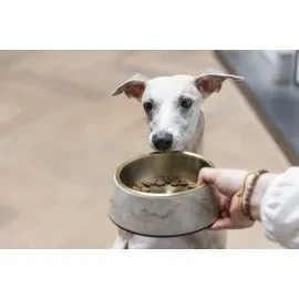 Beeztees Dbl Köpek Mama Su Kabı, Mat Altın Rengi Paslanmaz Çelik, Bej Mermer Görünümlü, 17,5Cm, 350M