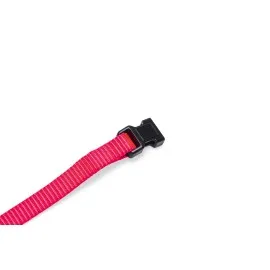 Beeztees Yavru Köpek Boyun Tasması, Çeşitli Renklerde, 22-35Cm, 10Mm