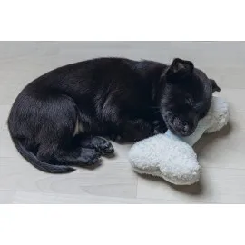 Beeztees Yavru Köpek Oyuncağı, Sesli, Kemik, Peluş, Beyaz, 21X10,5X5Cm