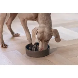 Beeztees Dbl Köpek Yavaş Besleme Mama Kabı, Bambu, Antrasit, 21Cm, 1430Ml