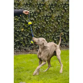 Beeztees Köpek Oyuncağı, Yüzen, Tutamaçlı İki Tenis Topu, Mavi/sarı, 44X6,3X6,3Cm