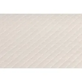 Beeztees Yavru Köpek Çiş Eğitim Pedi, L, 10Adet, 90X60Cm