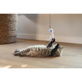 Beeztees Kedi Oltası, Zilli, Tüylü Top ve Kurdelalar,