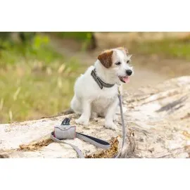 Beeztees Köpek Dışkı Toplama Poşeti Taşıma Çantası, Gri, 8X5X5Cm