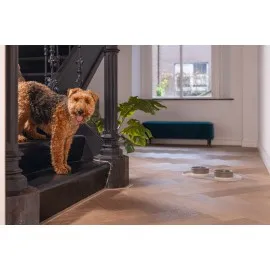 Beeztees Dbl Mama Su Kabı Servisi, Silikon, Kaymaz, Bej, 55X30X1,7Cm