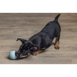 Beeztees Yavru Köpek Oyuncağı, Top, Kauçuk, Yeşil, 6Cm