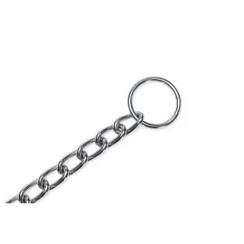 Beeztees Köpek Boyun Tasması, Zincir, 50X1X0,30Cm