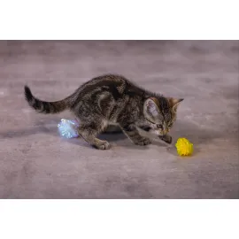 Beeztees Yavru Kedi Oyuncağı, Hışırtılı Top, 4 Adet, 5cm