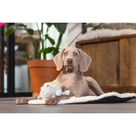 Beeztees Yavru Köpek Oyuncağı, Dinazor, Peluş, Yeşil, 19X14,5X9Cm