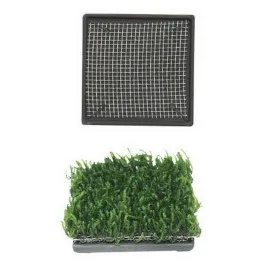 Ista Bitki Taban Seramik 6,5 Cm Kare