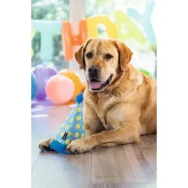 Beeztees Köpek Oyuncağı, Şapka, Peluş, Mavi, 22X14X14Cm