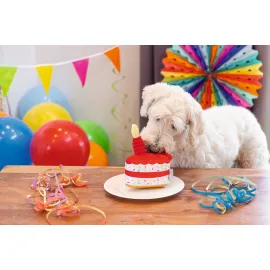 Beeztees Köpek Oyuncağı, Pasta Dilimi, Peluş, Renkli, 19X14X11Cm