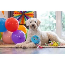 Beeztees Köpek Oyuncağı, Parti Balonu, Peluş, Mavi, 39X13X7,5Cm